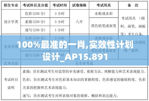 100%最准的一肖,实效性计划设计_AP15.891