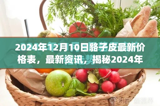 揭秘，2024年12月10日貉子皮价格走势与市场分析——最新价格资讯及市场洞察