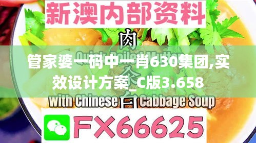 管家婆一码中一肖630集团,实效设计方案_C版3.658