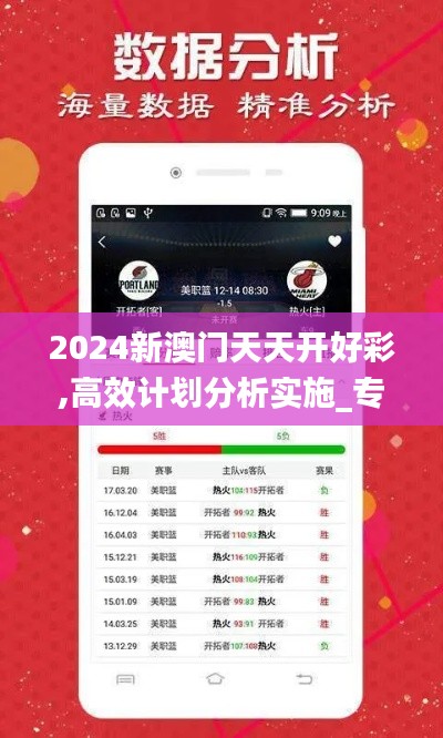 2024新澳门天天开好彩,高效计划分析实施_专家版9.831