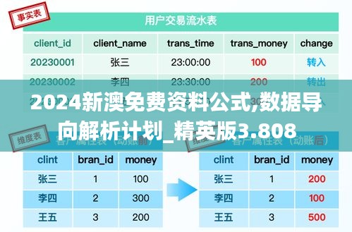 2024新澳免费资料公式,数据导向解析计划_精英版3.808