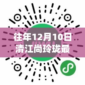 清江尚玲珑最新房价测评，特性、体验、竞品对比及用户需求洞察深度解析