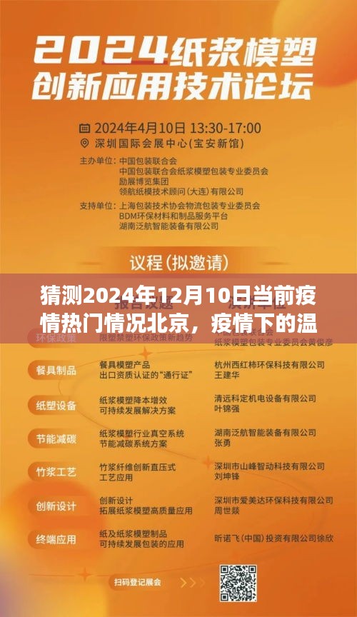 北京疫情下的温馨时光，2024年12月10日的日常故事与疫情观察