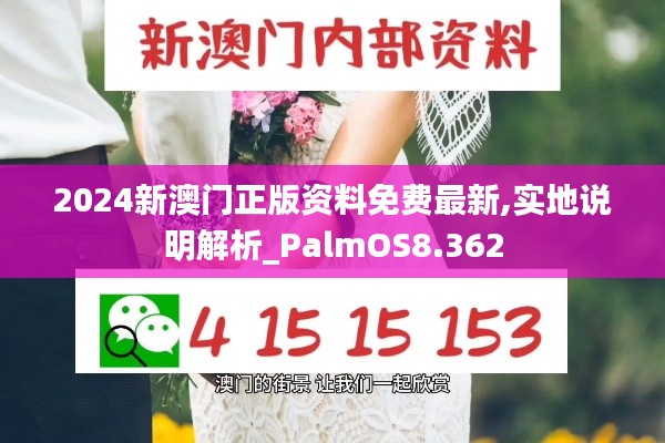 2024新澳门正版资料免费最新,实地说明解析_PalmOS8.362