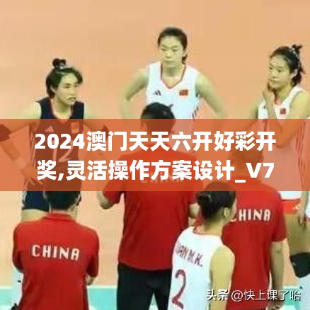 2024澳门天天六开好彩开奖,灵活操作方案设计_V7.251