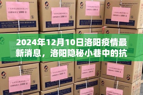 洛阳隐秘小巷中的抗疫温情与独特风味，2024年12月10日洛阳疫情最新消息下的意外惊喜