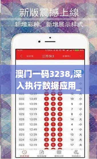 澳门一码3238,深入执行数据应用_薄荷版8.443