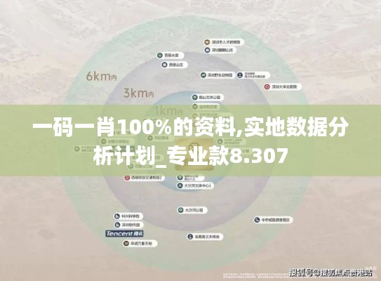 一码一肖100%的资料,实地数据分析计划_专业款8.307