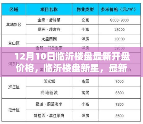 临沂楼盘最新开盘价格深度解析，新星楼盘12月10日价格一览