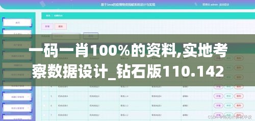 一码一肖100%的资料,实地考察数据设计_钻石版110.142