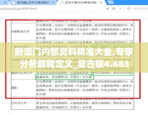 新澳门内部资料精准大全,专家分析解释定义_复古版4.683