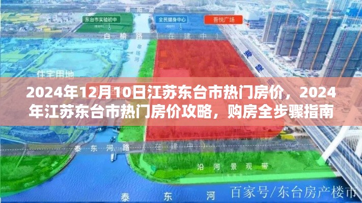 2024年江苏东台市热门房价指南，购房全步骤与最新市场动态