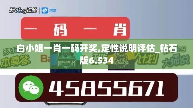 白小姐一肖一码开奖,定性说明评估_钻石版6.534