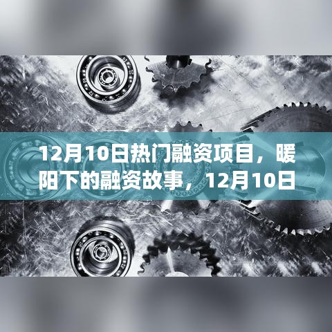 12月10日热门融资项目，梦想启航日，暖阳下的融资故事