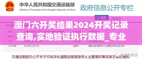 澳门六开奖结果2024开奖记录查询,实地验证执行数据_专业版4.533