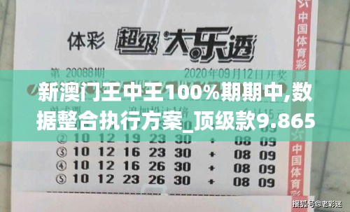 新澳门王中王100%期期中,数据整合执行方案_顶级款9.865