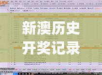 新澳历史开奖记录查询结果一样吗,数据整合设计解析_Z4.124