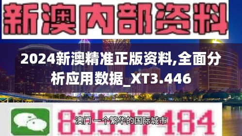 2024新澳精准正版资料,全面分析应用数据_XT3.446