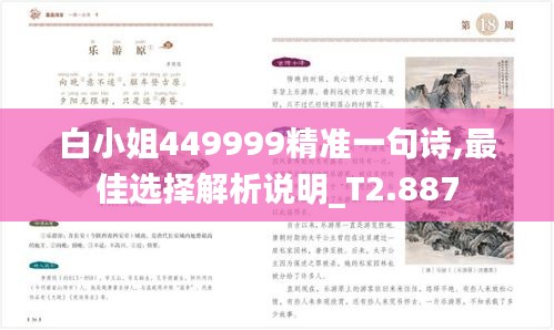 白小姐449999精准一句诗,最佳选择解析说明_T2.887