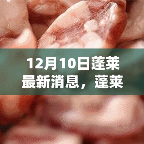 蓬莱最新动态深度评测与介绍，12月10日更新消息