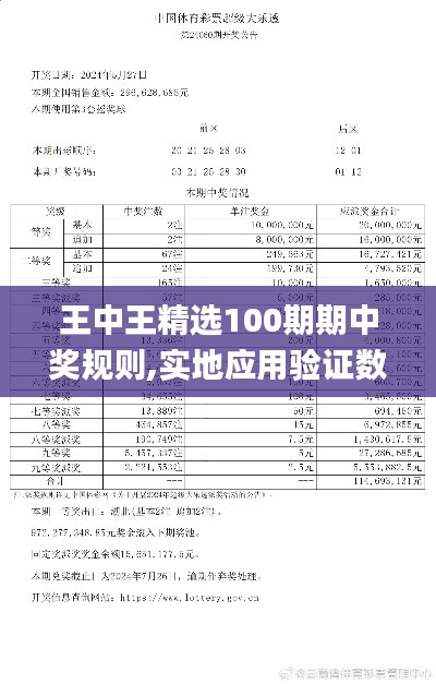 王中王精选100期期中奖规则,实地应用验证数据_Notebook3.338