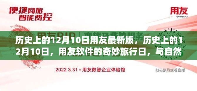 历史上的12月10日，用友软件的奇妙里程碑日与自然美景共舞