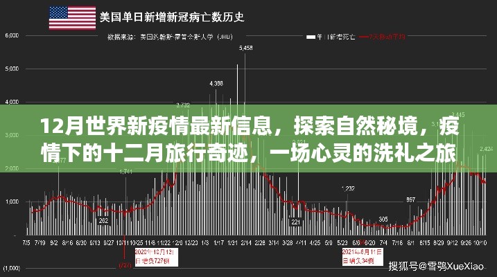 疫情下的十二月奇迹之旅，心灵洗礼的自然秘境探索