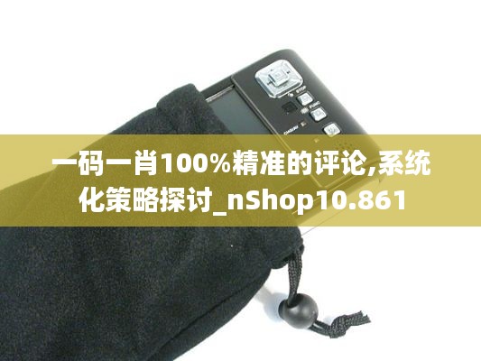 一码一肖100%精准的评论,系统化策略探讨_nShop10.861