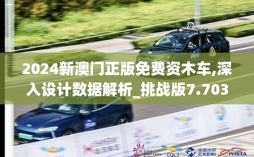 2024新澳门正版免费资木车,深入设计数据解析_挑战版7.703