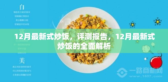 12月最新式炒饭全面解析与评测报告