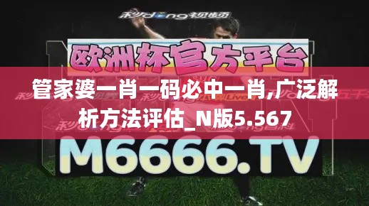 管家婆一肖一码必中一肖,广泛解析方法评估_N版5.567