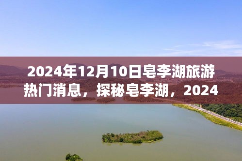 探秘皂李湖，2024年12月10日旅游热门消息及小巷深处的独特体验