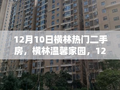 横林温馨家园二手房奇遇记，12月10日的房源探秘