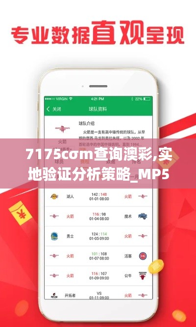 7175cσm查询澳彩,实地验证分析策略_MP5.237