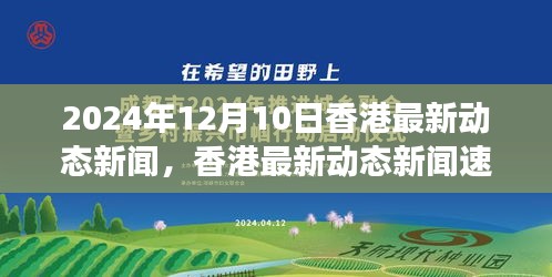 香港变革动态速递，最新新闻聚焦未来展望（2024年12月10日版）