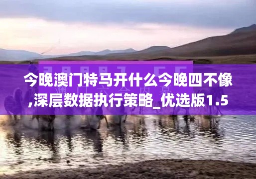 今晚澳门特马开什么今晚四不像,深层数据执行策略_优选版1.532