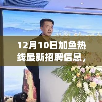 探寻自然美景之旅，加鱼热线最新招聘信息与启程寻找内心宁静