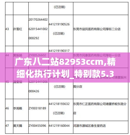 广东八二站82953ccm,精细化执行计划_特别款5.313