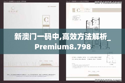 新澳门一码中,高效方法解析_Premium8.798