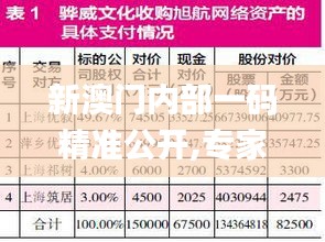 新澳门内部一码精准公开,专家分析解释定义_投资版8.446