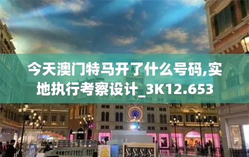 今天澳门特马开了什么号码,实地执行考察设计_3K12.653