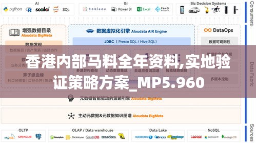 香港内部马料全年资料,实地验证策略方案_MP5.960