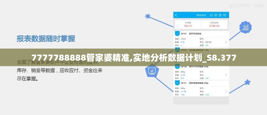 7777788888管家婆精准,实地分析数据计划_S8.377