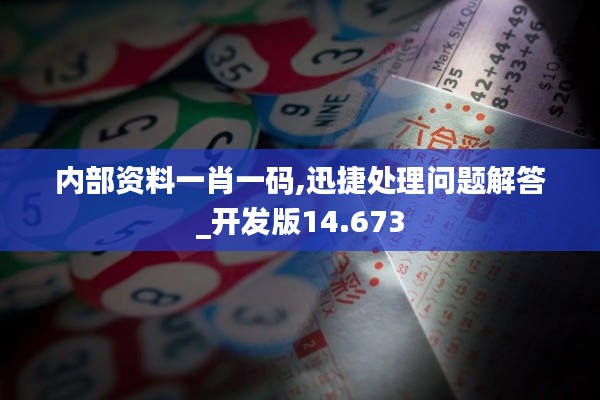 内部资料一肖一码,迅捷处理问题解答_开发版14.673