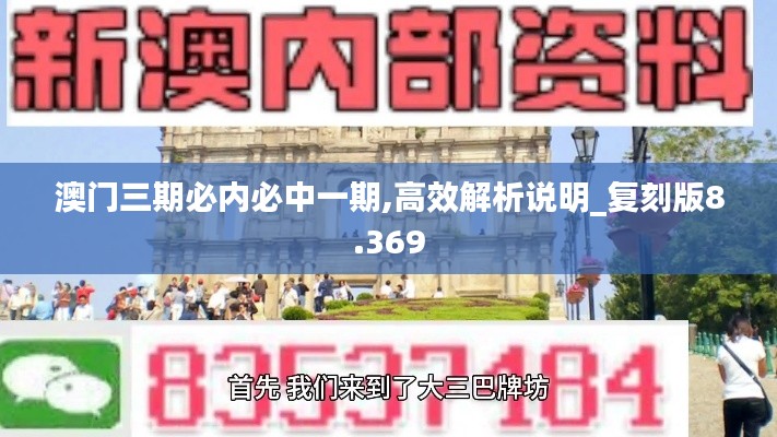 澳门三期必内必中一期,高效解析说明_复刻版8.369