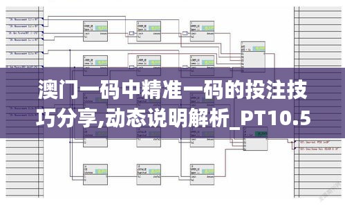 澳门一码中精准一码的投注技巧分享,动态说明解析_PT10.590