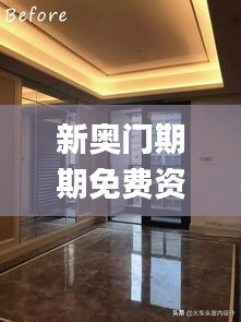 新奥门期期免费资料,实效设计解析_精装版2.453