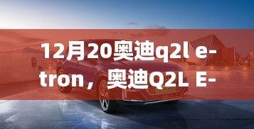 2024年12月11日 第8页