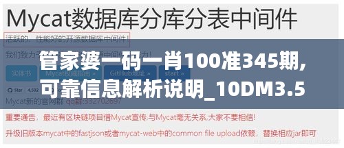 管家婆一码一肖100准345期,可靠信息解析说明_10DM3.584