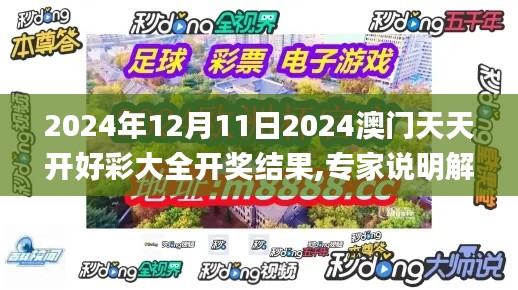 2024年12月11日2024澳门天天开好彩大全开奖结果,专家说明解析_豪华版4.992